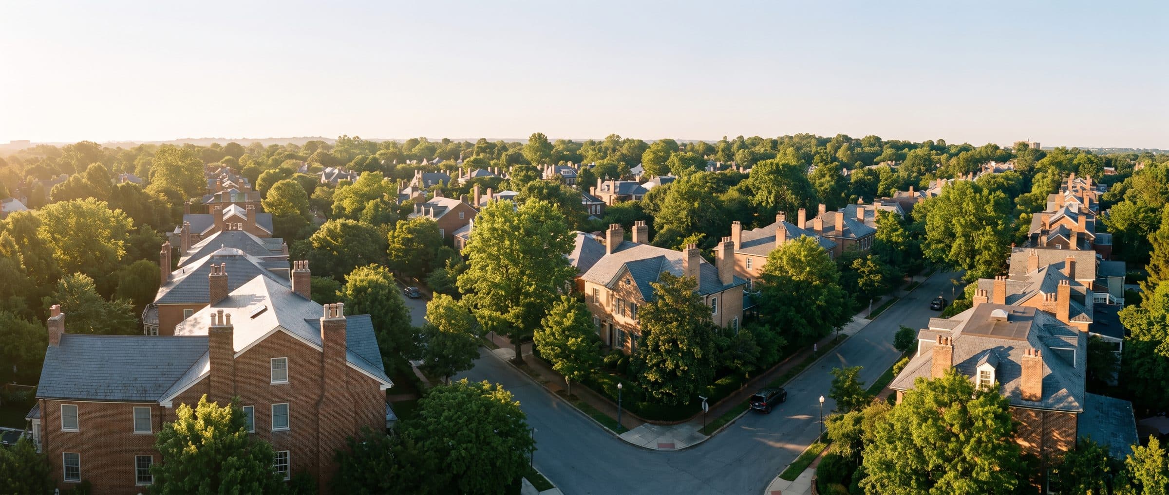 An elevated view over a leafy residential neighborhood in golden light